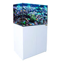 100 Gallon Coral Reef Aquarium: Ultra Clear Glass & Built-in Sump White
