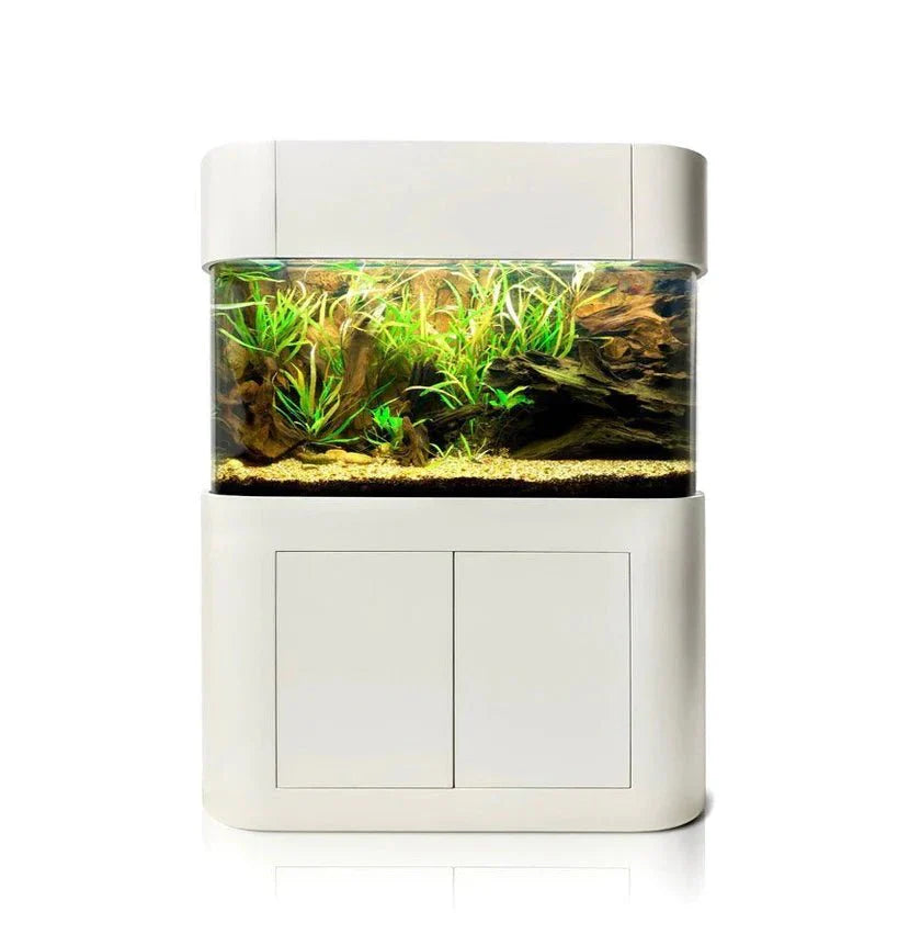 AQUA VIM Panoramic Reef-Ready Aquarium Set in White