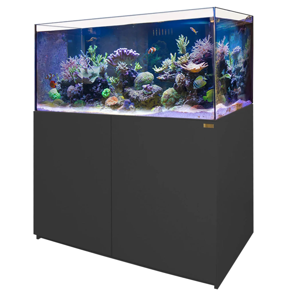 130 Gallon Coral Reef Aquarium: Ultra Clear Glass & Built-In Sump All Black