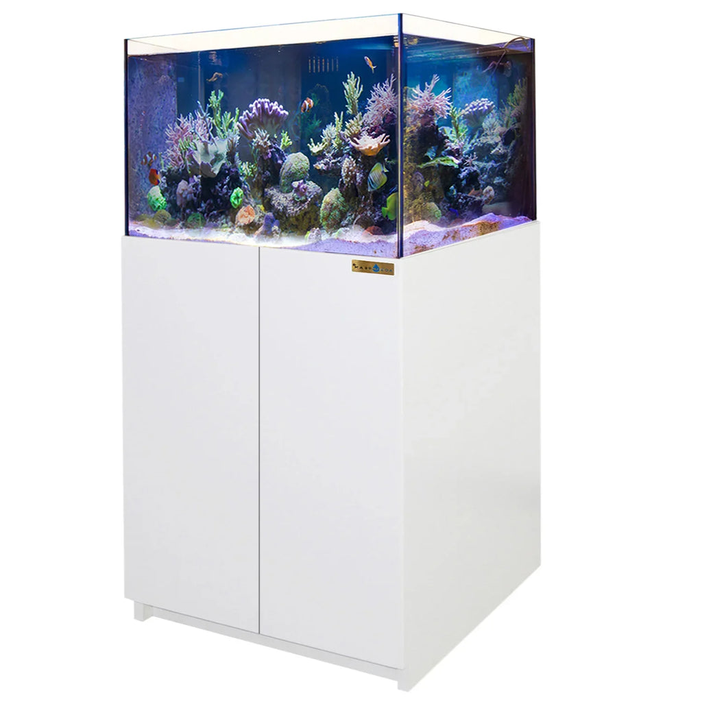 115 Gallon Coral Reef Aquarium: Ultra Clear Glass & Built-In Sump All White