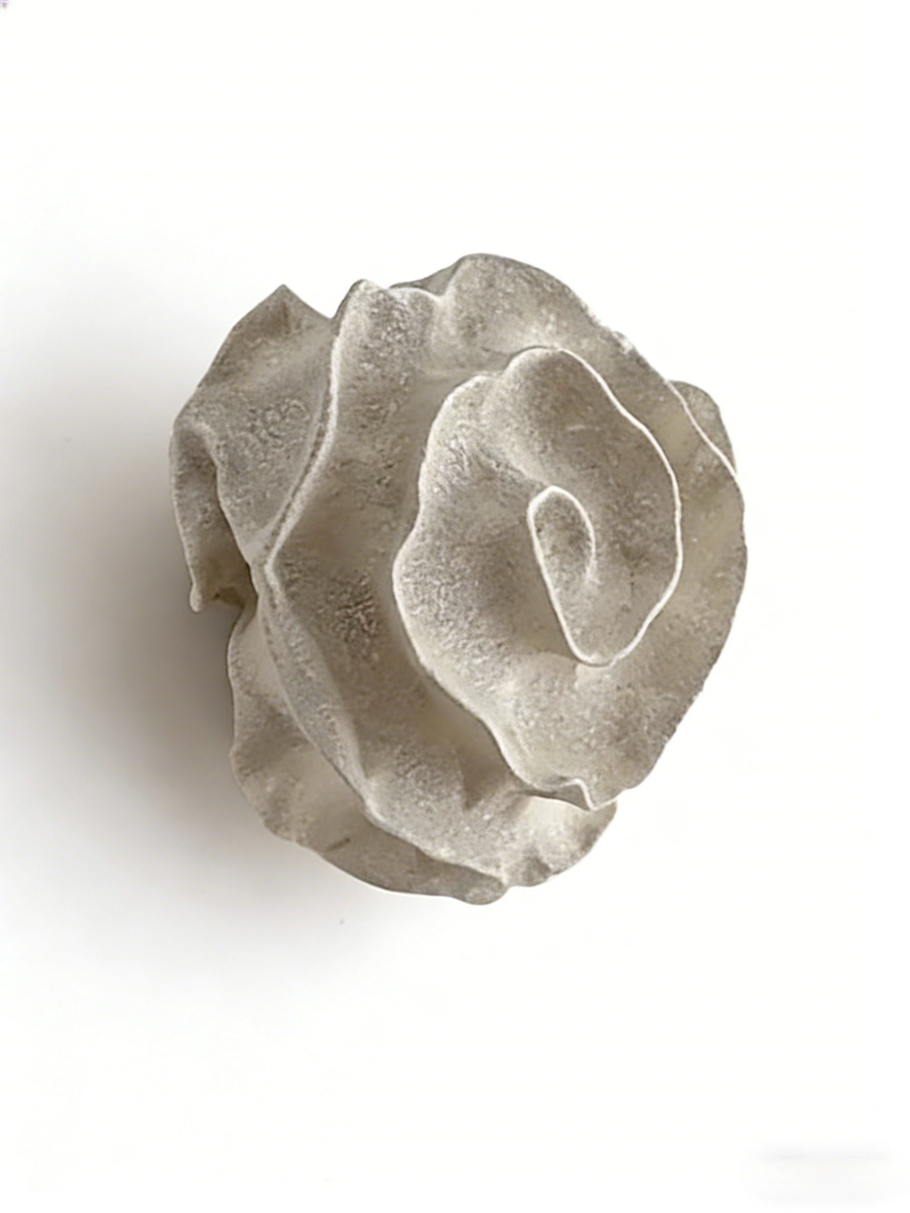 Modern Organic Cloud Wall Sconce
