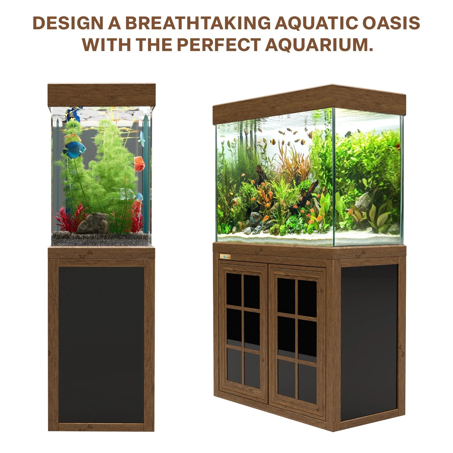 Aqua Dream 100 Gallon Tempered Glass Aquarium Darkwood