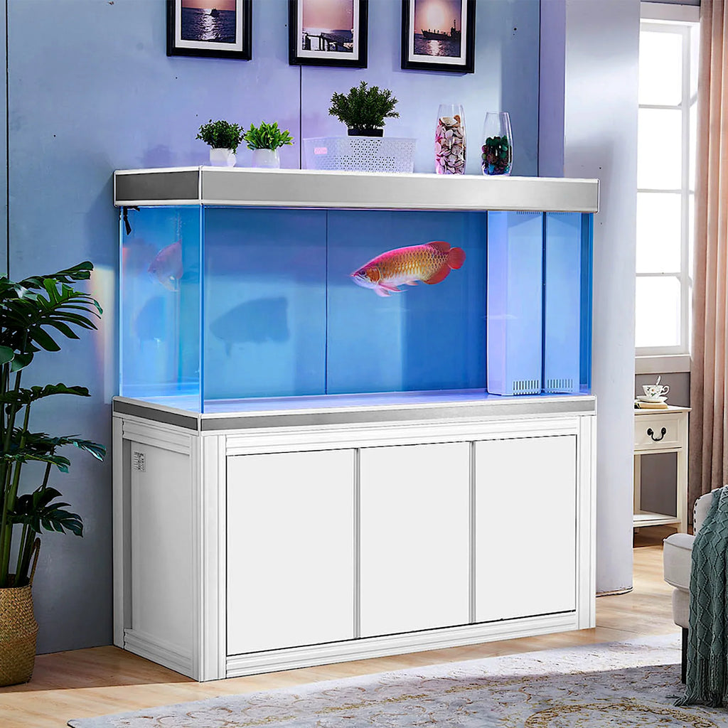 Aqua Dream 200 Gallon Tempered Glass Aquarium with Filtration System
