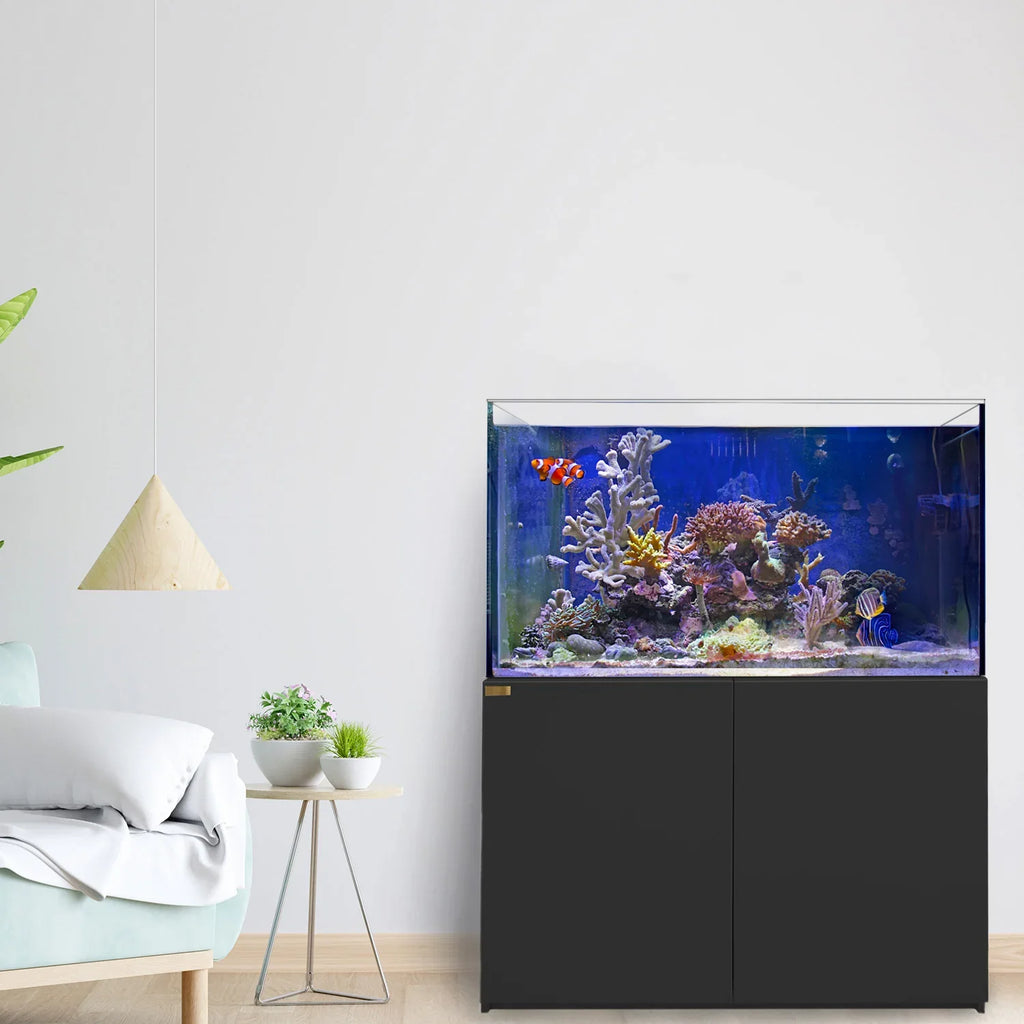 130 Gallon Coral Reef Aquarium: Ultra Clear Glass & Built-In Sump All Black
