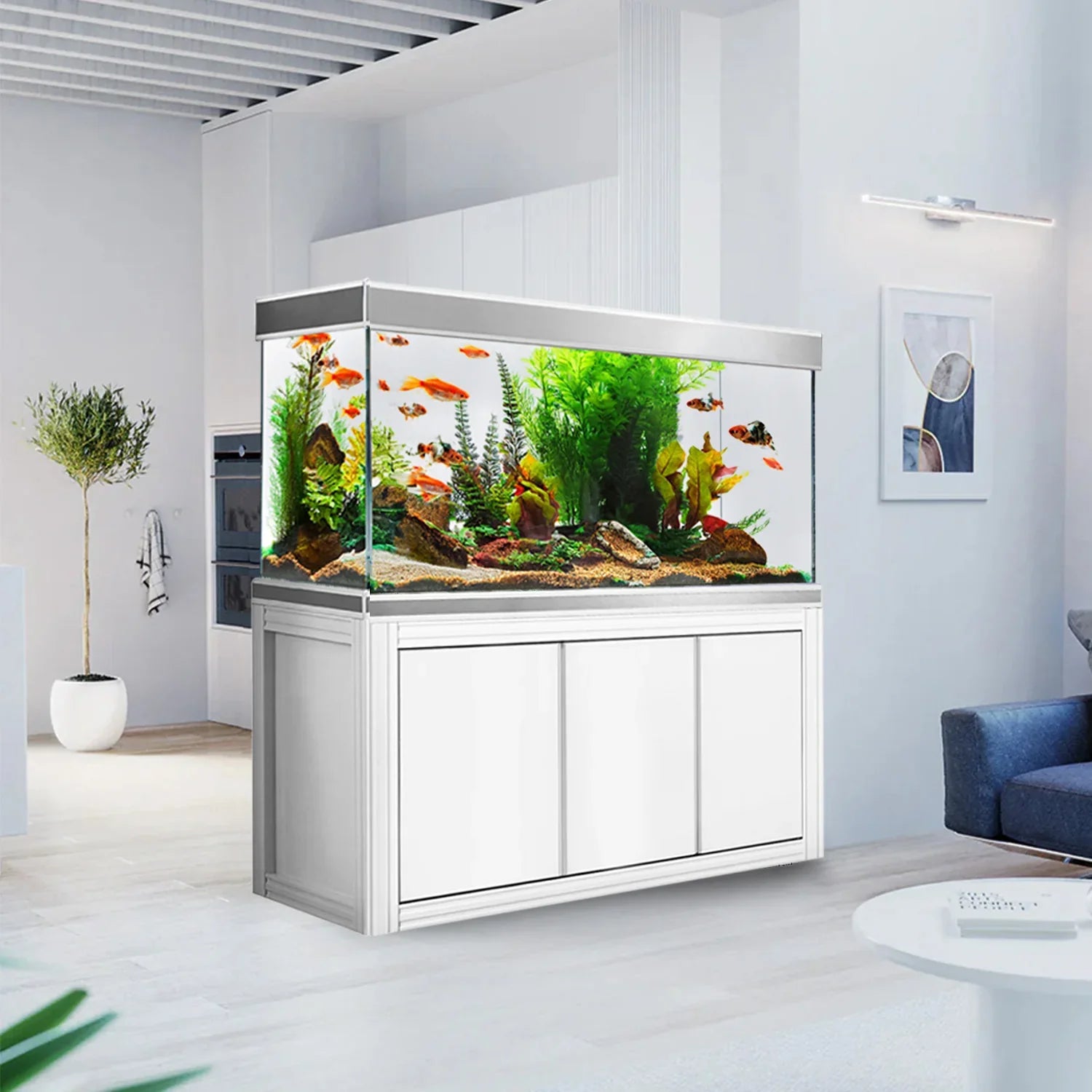 Aqua Dream 145 Gallon Tempered Glass Aquarium with Premium Filtration