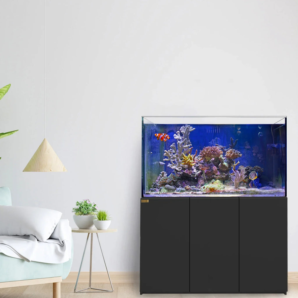 220 Gallon Coral Reef Aquarium: Ultra Clear Glass Tank & Built-In Sump All Black