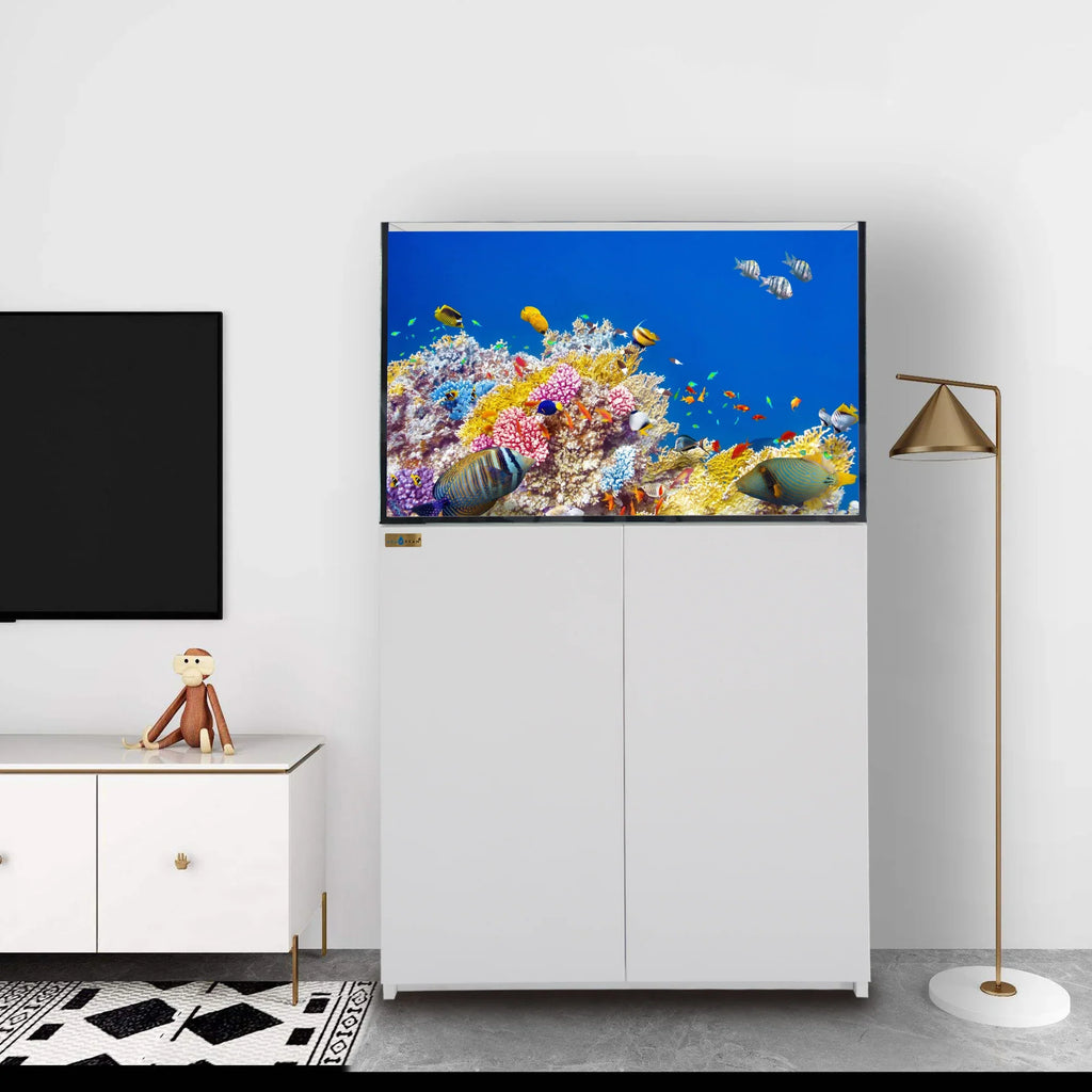 115 Gallon Coral Reef Aquarium: Ultra Clear Glass & Built-In Sump All White