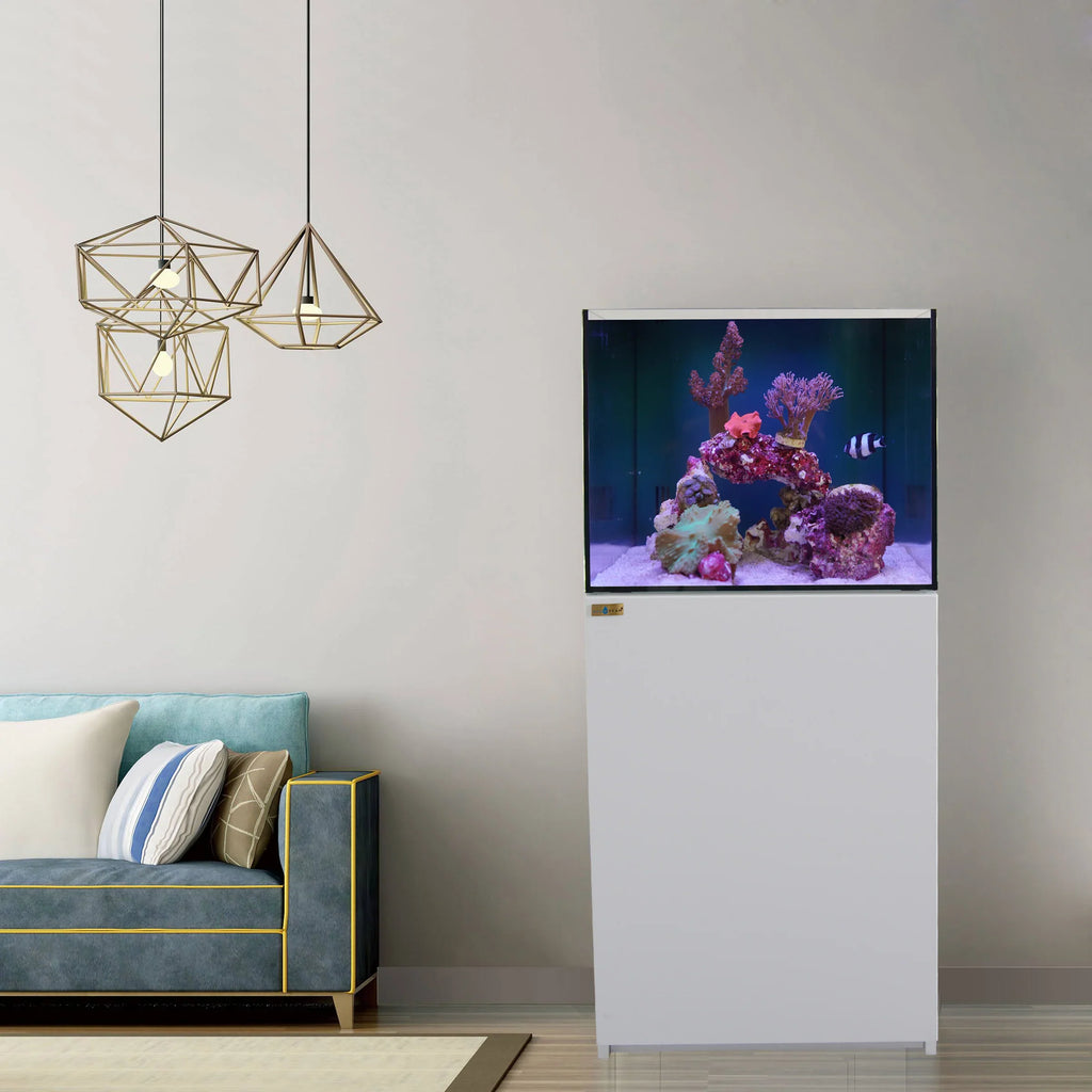 90 Gallon Coral Reef Aquarium Ultra Clear Glass Tank & Built in Sump All White