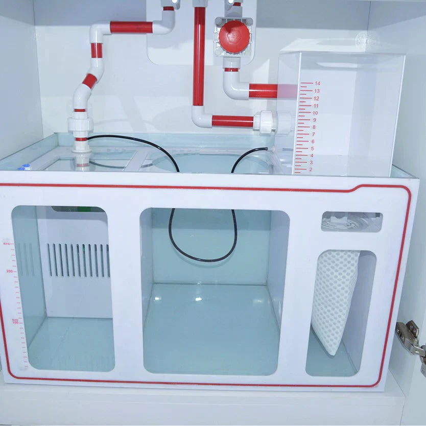 100 Gallon Coral Reef Aquarium: Ultra Clear Glass & Built-in Sump White