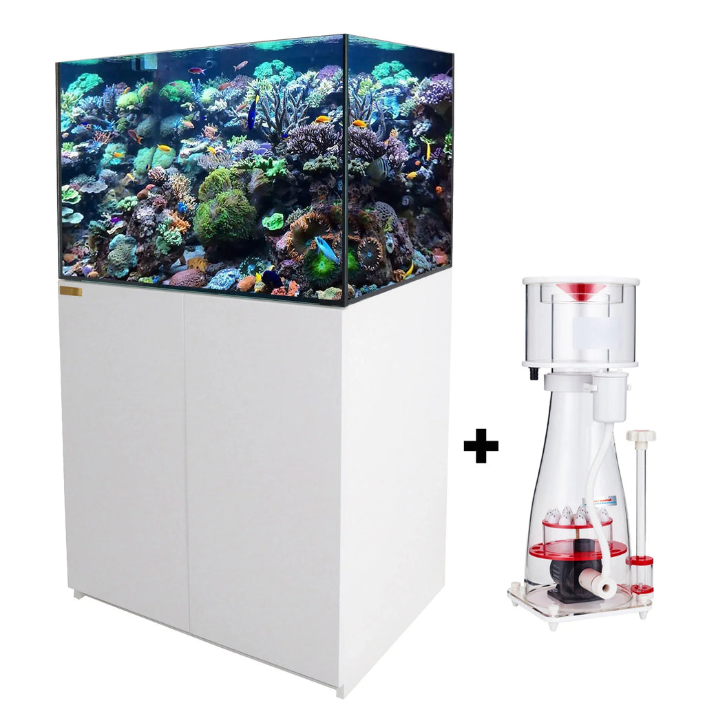115 Gallon Coral Reef Aquarium: Ultra Clear Glass & Built-In Sump All White