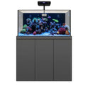 145 Gallon Coral Reef Aquarium Fish Tank Complete Set including Two Coral lights & one Protein Skimmer