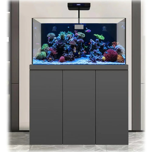 145 Gallon Coral Reef Aquarium Fish Tank Complete Set including Two Coral lights & one Protein Skimmer