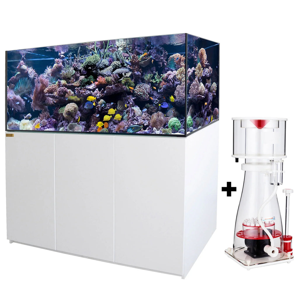 185 Gallon Ultra Clear Glass Coral Reef Aquarium with Sump All White