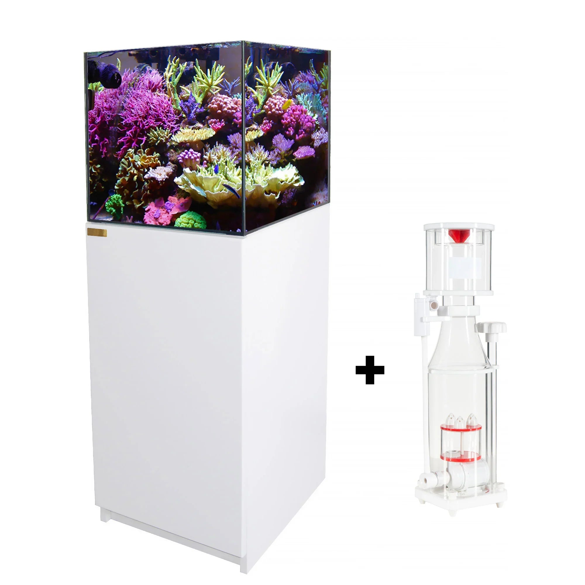 37 Gallon Coral Reef Aquarium Ultra Clear Glass Tank & Built in Sump All White