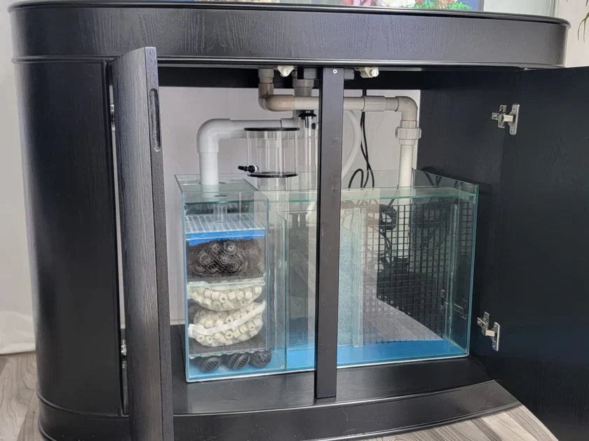 Aqua Vim Corner 1/4 Cylinder Reef-Ready Aquarium Set in White
