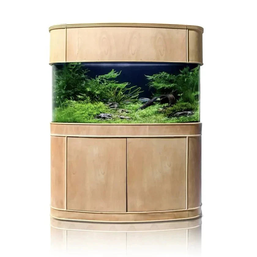 Aqua Vim Seamless Glass Bowfront Aquarium Set in Unstained Wood
