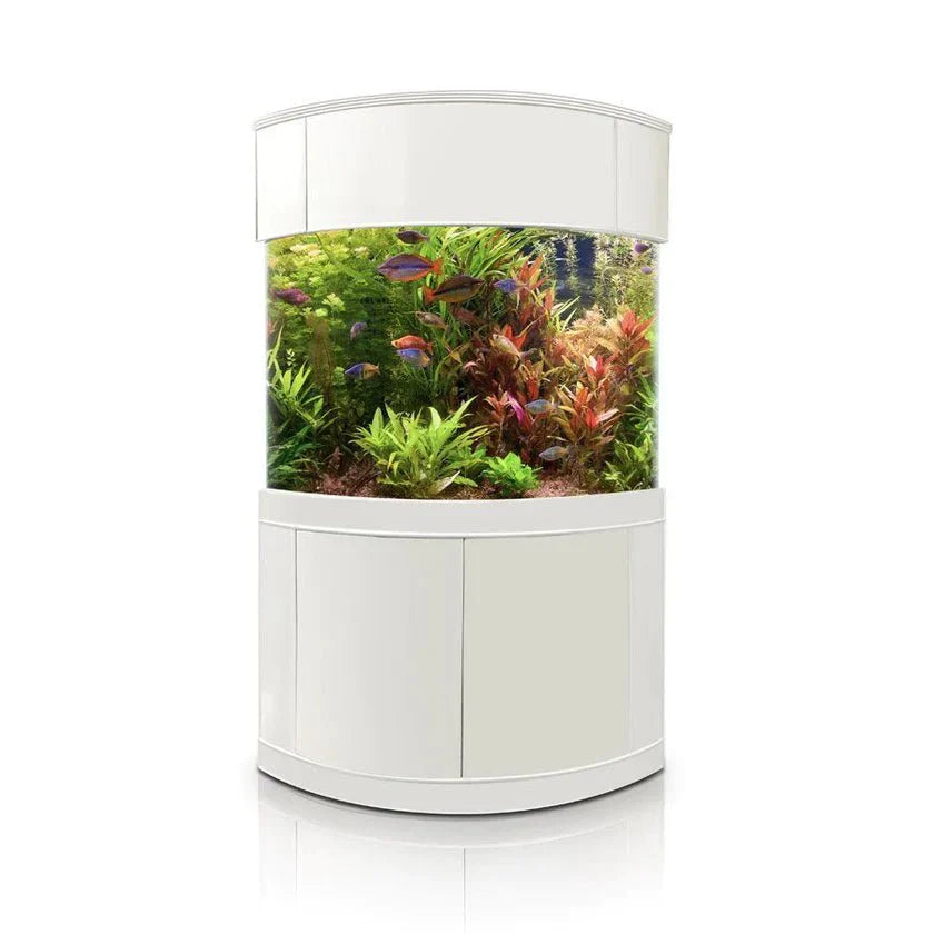 Aqua Vim Corner 1/4 Cylinder Reef-Ready Aquarium Set in White
