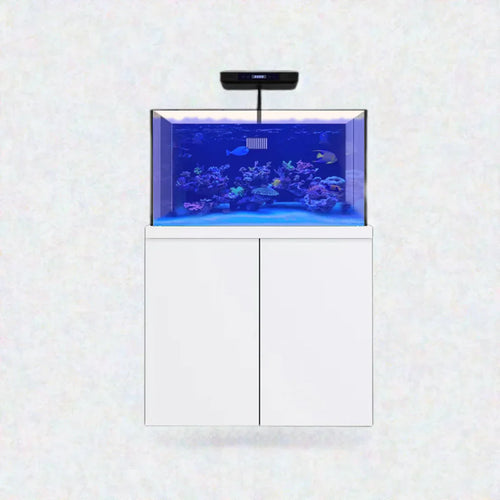 100 Gallon Coral Reef Aquarium Fish Tank Complete Set including one Coral light & one Protein Skimmer