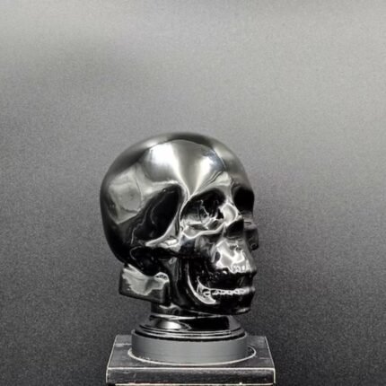 BLACK GLASS SKULL LIGHT COVER WITH CUSTOM 3D PRINTED BASE